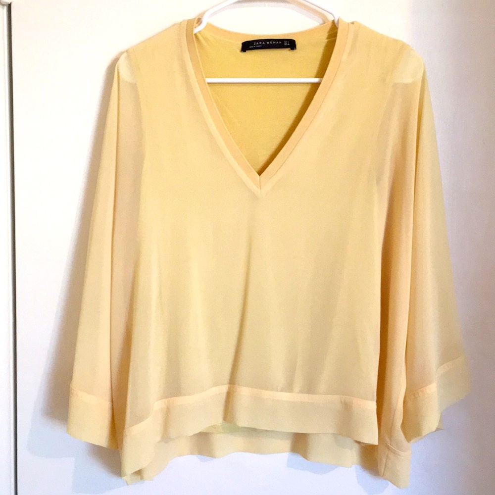 Zara sheer top